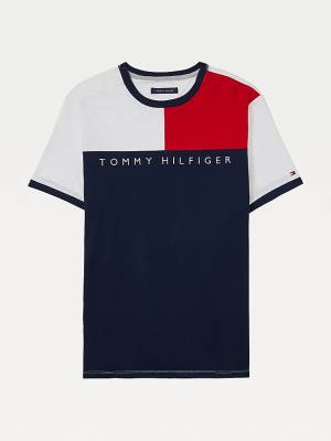 Tommy Hilfiger Adaptive Flag Pure Pamut Póló Férfi Multi | TH175WLK