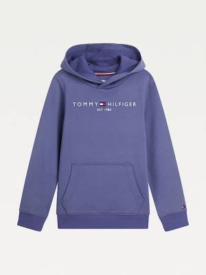 Tommy Hilfiger Essential Logo Kapucnis Pulóver Fiú Kék | TH673XKC