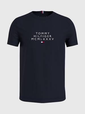 Tommy Hilfiger Graphic Logo Póló Férfi Kék | TH236WDI