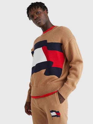 Tommy Hilfiger Motion Flag Crew Neck Jumper Pulóverek Férfi Barna | TH942FWK