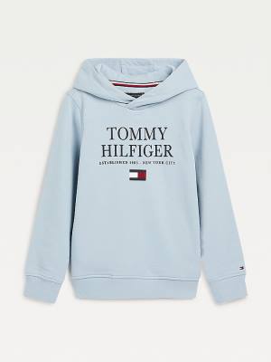 Tommy Hilfiger Organic Pamut Logo Kapucnis Pulóver Fiú Kék | TH930HVU