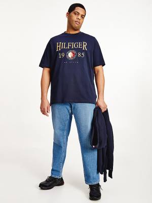 Tommy Hilfiger Plus Icons Relaxed Fit Póló Férfi Kék | TH816EXJ