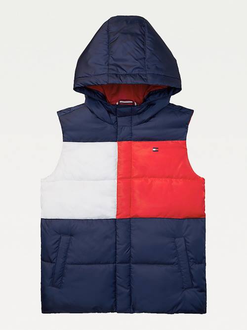 Tommy Hilfiger Adaptive Csuklyás Flag Vest Kabát Fiú Kék | TH036ZLW