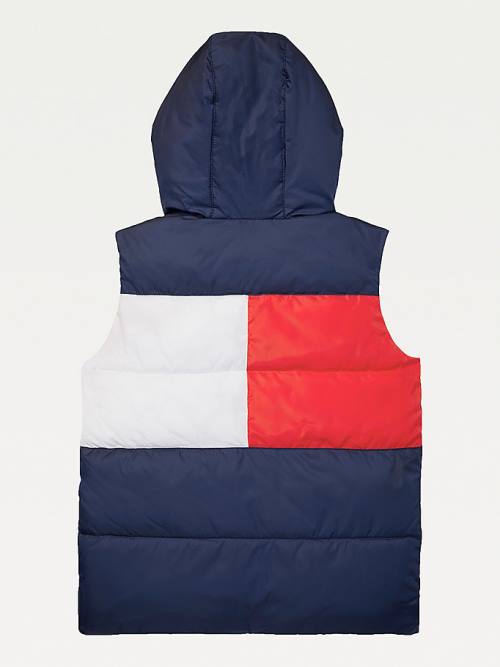 Tommy Hilfiger Adaptive Csuklyás Flag Vest Kabát Fiú Kék | TH036ZLW