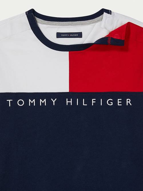 Tommy Hilfiger Adaptive Flag Pure Pamut Póló Férfi Multi | TH175WLK