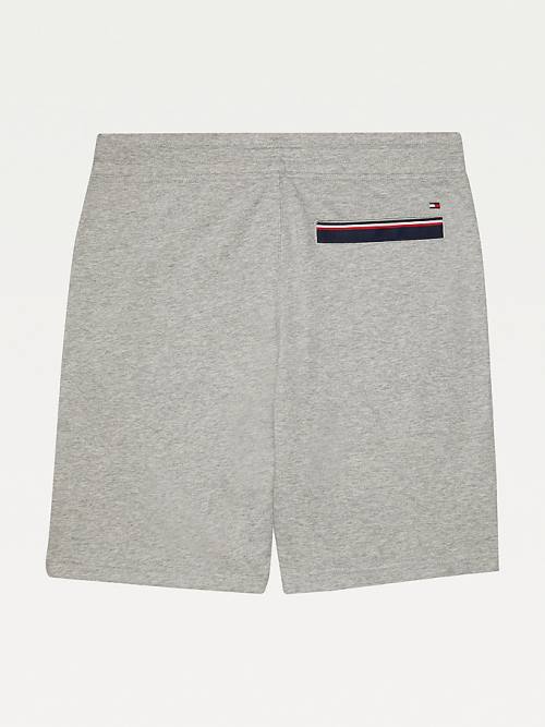 Tommy Hilfiger Adaptive Regular Fit Rövidnadrág Férfi Szürke | TH805YWC