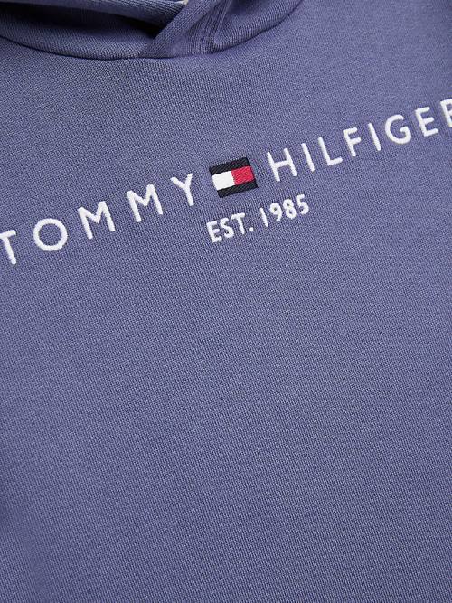 Tommy Hilfiger Essential Logo Kapucnis Pulóver Lány Kék | TH467LWP