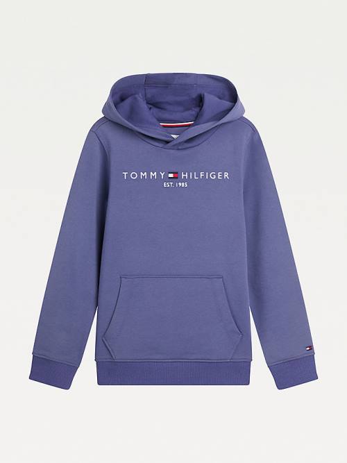 Tommy Hilfiger Essential Logo Kapucnis Pulóver Lány Kék | TH467LWP