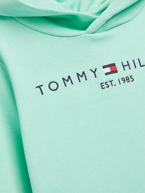 Tommy Hilfiger Essential Logo Kapucnis Pulóver Fiú Zöld | TH736TCR