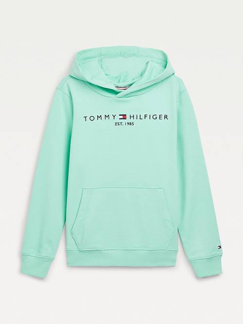 Tommy Hilfiger Essential Logo Kapucnis Pulóver Fiú Zöld | TH736TCR