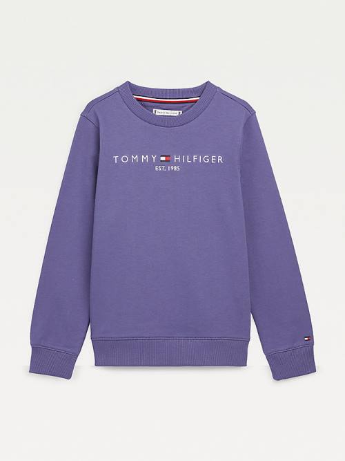 Tommy Hilfiger Essential Logo Pulóver Fiú Kék | TH956TXN