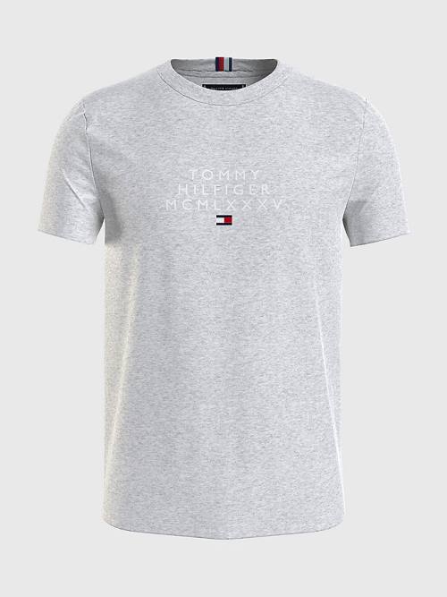 Tommy Hilfiger Graphic Logo Póló Férfi Szürke | TH759MZU