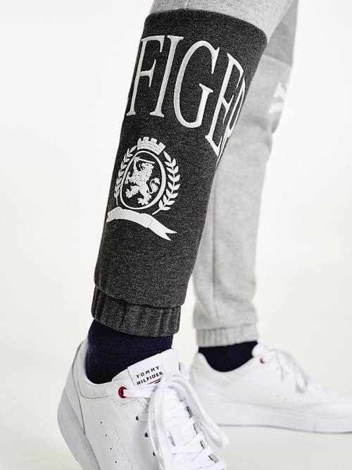 Tommy Hilfiger Icons Colour-Blocked Crest Joggers Nadrág Férfi Szürke | TH251BQG