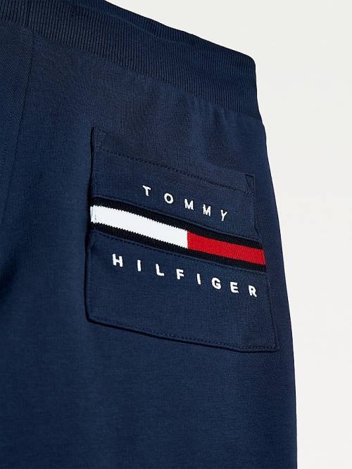 Tommy Hilfiger Logo Embroidery Organic Pamut Joggers Nadrág Fiú Kék | TH517QIB