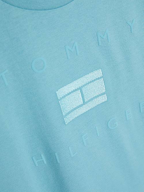 Tommy Hilfiger Logo Póló Fiú Kék | TH982FPD