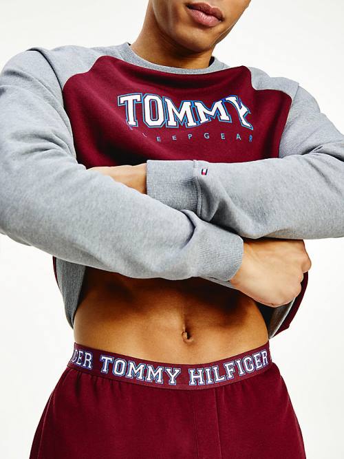 Tommy Hilfiger Logo Waistband Lounge Joggers Pizsama Férfi Lila | TH845GDE