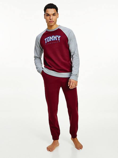 Tommy Hilfiger Logo Waistband Lounge Joggers Pizsama Férfi Lila | TH845GDE