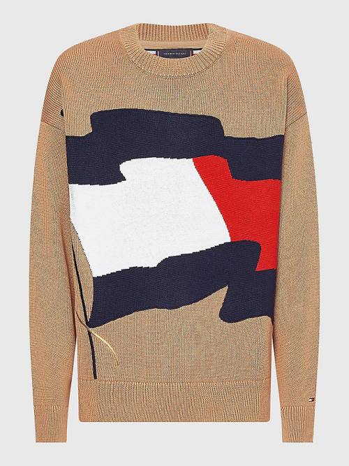 Tommy Hilfiger Motion Flag Crew Neck Jumper Pulóverek Férfi Barna | TH942FWK