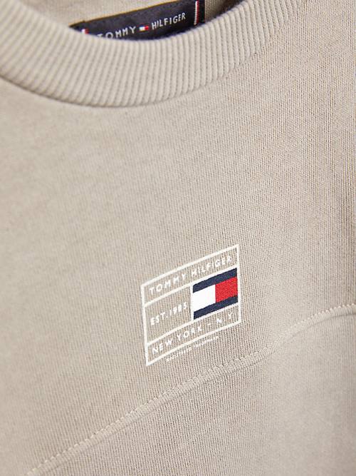 Tommy Hilfiger Natural Earth Dye Pulóver Fiú Szürke | TH453VIT