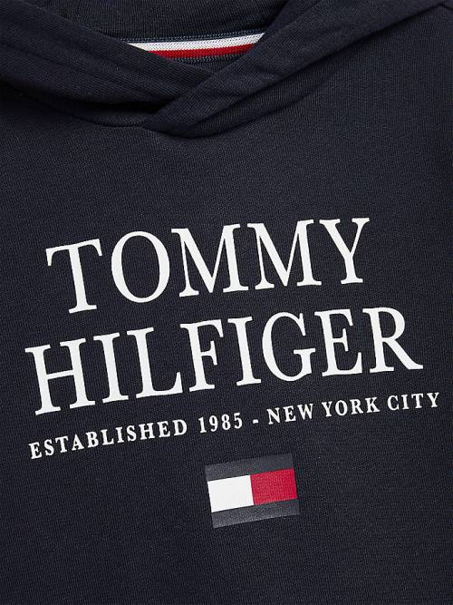 Tommy Hilfiger Organic Pamut Logo Kapucnis Pulóver Fiú Kék | TH104GKT