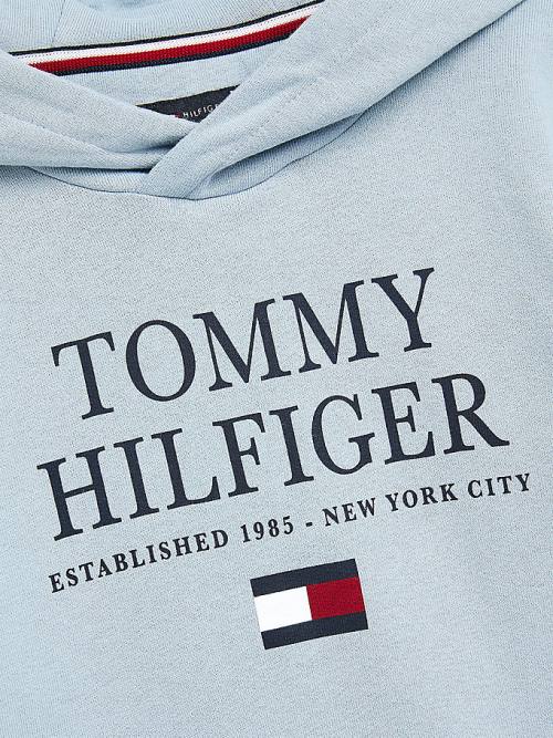 Tommy Hilfiger Organic Pamut Logo Kapucnis Pulóver Fiú Kék | TH930HVU