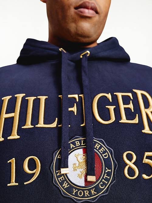 Tommy Hilfiger Plus Icons Logo Embroidery Relaxed Fit Kapucnis Pulóver Férfi Kék | TH758OYM