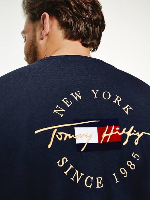 Tommy Hilfiger Plus Icons Long Sleeve Póló Férfi Kék | TH173GSW