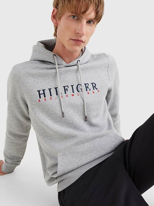 Tommy Hilfiger Signature Flex Fleece Logo Kapucnis Pulóver Férfi Szürke | TH345LIJ